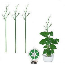 100cm 식물 지지대 5개입 화초 꽃 받치대 넝쿨 지주대, 5개