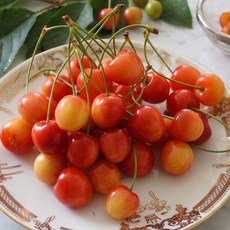 싱싱한 제철 새콤달콤 맛있는 영천 햇 체리 생과, 1개, 1kg