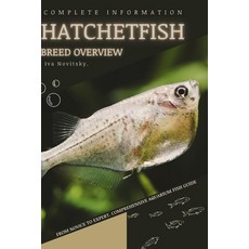 (영문도서) Hatchetfish: From Novice to Expert. Comprehensive Aquarium Fish Guide Paperback, Independently Published, English, 9798398420517