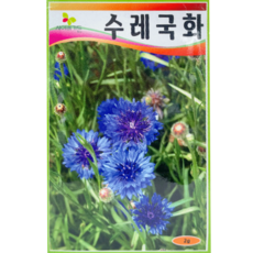 식물의집 채송화 접시꽃 에키네시아 안개초 페튜니아 테디베어 코스모스 풍접초 해바라기 나팔꽃 금잔화 과꽃 루피너스 루드베키아 금계국 야생화 세계 매발톱 백일홍 국화 꽃모음 꽃씨앗, 수레국화