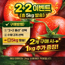 [대간농장] 싱싱한 대추방울토마토 로얄과 2kg 2박스 구매시 1kg 추가 총 5kg 발송, 1개, 대추방울토마토 2kg 로얄과