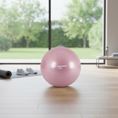 안티버스트 짐볼 아이워너 55cm 홈트레이닝, 1개