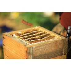허니뱅크 토종벌집꿀 됫박벌집꿀2호(우드락) 1.8-2.2kg, 1.8kg, 1개