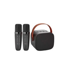 LEBO樂柏 無線雙麥克風音箱 台灣BSMI認證 無線藍芽音箱 去人聲 唱歌 行動ktv 連假出遊 父親節禮物, 星空黑, P2