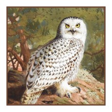 Orenco Originals Snowy Owl by Arc Orenco Originals Snowy Owl by Archibald Thorburn Counted Cross Sti, Multi Colored