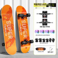 성인용스케이트보드 입문자 4륜 초보 스케이드보드 초급, 1개, 양면 스트리트 라이트 [동적 청춘]
