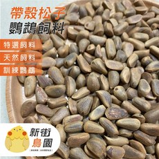 【30年老店 新街鳥園 】《帶殼松子》中大型鸚鵡補充營養飼料, 1個, 600g(省30元), 600g