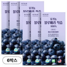 뷰티끄랩 NFC 유기농 블루베리 착즙 100% 주스 스틱 원액, 200g, 6박스