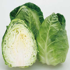 제주 고깔 양배추 프리미엄 달콤아삭, 1박스, 8kg