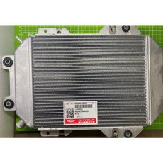 PGO TIGRA200/TIGRA250 水箱總成, 1個