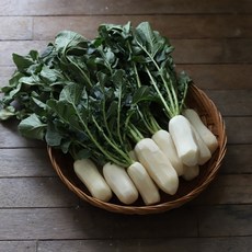 채소애 손질 깐알타리무, 1박스, 6kg