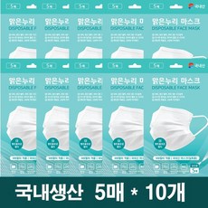 국내산 일회용 마스크 덴탈마스크 비말차단 MB필터 흰색, 10개, 5매입, 화이트
