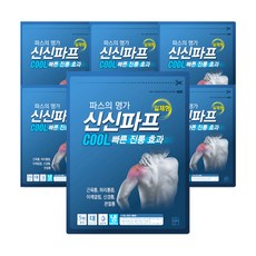 신신제약 신신파프 COOL, 6개, 5매입