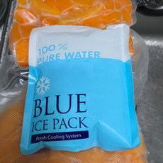 손질 늙은 호박 (진공포장) 국산 늙은 호박, 1개, 손질 늙은호박 2kg