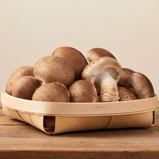 100% 국내산 무농약재배 송향 버섯 송화버섯 송화고 송고, 1개, 송향버섯 1kg(파지)