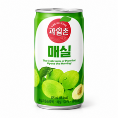 [달담박스]해태 썬키스트 매실 175ml 60캔, 60개