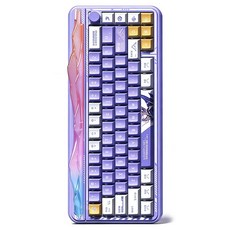 레오보그 Hi65 RGB 라이트 3모드 기계식 키보드, 퍼플, 재스퍼축, 제조사축 퍼플, 재스퍼축, 제조사축