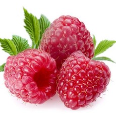 [CPL 영국] 프래그런스 오일 와일드 라즈베리 WILD RASPBERRY 20ml/50ml/100ml, 20ml, 1개, 20ml