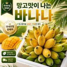 국내유일 한정수량 망고맛 바나나 체리아숲, 2개, 망고맛 바나나(송이 x)