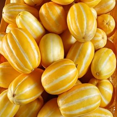 성주 꿀 참외 산지직송 당도선별 가정용, 5kg (가정용 랜덤과), 1개