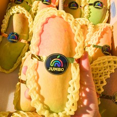 무지개빛 달콤함 무지개 망고, 1개, 1kg (3과 내외)