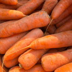 두리네 국내산 햇당근 흙당근, 1박스, 10kg (중)