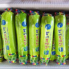 [국내산] 직접선별 애호박 인큐애호박 못난이 가정용 업소용 애호박전 볶음요리, 1개, 특품 20개