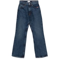 아미쉬 켄달 진