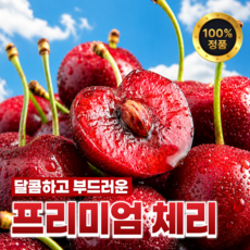 현지직수 미국산 체리 프리미엄 생체리, 1개, 체리 대과(10~10.5R) 250g