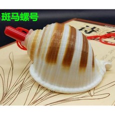 나각뿔피리 천연 호루라기 껍질 국악기 뿔소라 나각 고둥 전통, 12. 갈색 얼룩말 소라(10-12cm), 1개