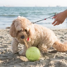 《百嬌客 》 寵物點心玩具球/漏食球 多功能玩具, 粉綠, 1個