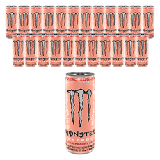 몬스터 에너지 파이프라인펀치 355ml 24개