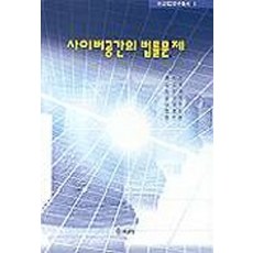 사이버공간의 법률문제, 부산외국어대학교출판부