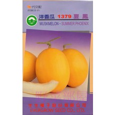 夏鳳 R19 洋香瓜種子 早生品種 甜度高, 1包