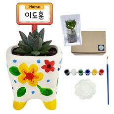 혜문전방 (무료배송)다육식물 입체화분 물감세트(식물보호케이스포함)