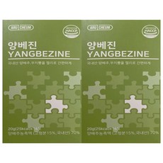2박스 아르채움 양베진 양배진, 20g