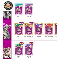 프로센터 위스카스 주니어 참치 80g 참치맛 냥이밥 새끼고양이