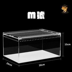 【爬博士】臺灣爬蟲磁吸飼養箱 爬蟲壓剋力飼養箱 一體式防漏水 爬蟲飼養箱 守宮飼養箱 豹紋守宮 肥尾守宮 角蛙, 1個