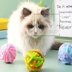 다올 고양이 털실공 토이