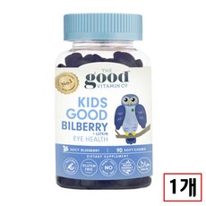 더굿비타민 뉴질랜드 키즈 빌베리 어린이 루테인 눈건강 구미 젤리 (90구미), 1개, 90정