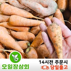 <오일장 상회> 국내산 흙 당근 햇당근 (중 하 파지)쥬스용 3kg 5kg 10kg 20kg내외, 1박스, 20kg