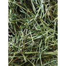 苜蓿草，高纖磨牙牧草，適合兔子、龍貓、豚鼠, 1個