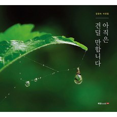 Book Lab 還算可以忍受：金敬淑攝影集, 金敬淑