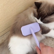 큐트스마트 반려동물 곡선형 쿠션 브러쉬 라지, 보라색, 1개