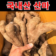 [명품농가] 국내산 햇 마 산마, 1박스, 1kg 가정용 (베스트)