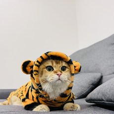 임인년 호랑이 후드티 강아지옷 고양이옷, 1개