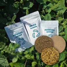 [엔토모] 건조 동애등에 동애등에 분말 / 고슴도치 거북이 앵무새 햄스터 닭 도마뱀 간식, 1개, 동애등에 탈지 분말(100g), 100g