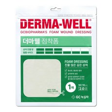 GC녹십자 더마웰 점착폼 진물 많은 깊은 상처 1매