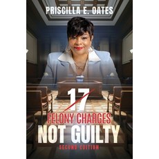 (영문도서) 17 Felony Charges: Not Guilty Paperback, Elite Publications, English, 9798218584733