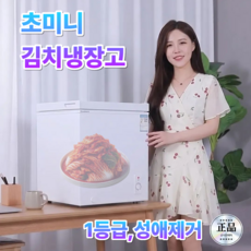 초소형 뚜껑형 김치냉장고 저소음 냉동고 겸용, 58L, 크리스탈화이트